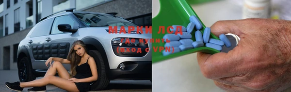 эйфоретик Алзамай