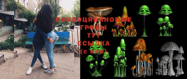 эйфоретик Алзамай