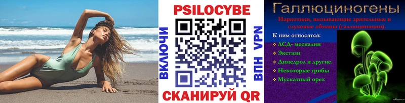 Галлюциногенные грибы Cubensis  мега   Менделеевск  купить наркотики сайты 