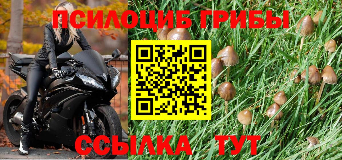 Псилоцибиновые грибы Psilocybine cubensis  Галлюциногенные грибы Cubensis  Менделеевск  Вход с VPN 