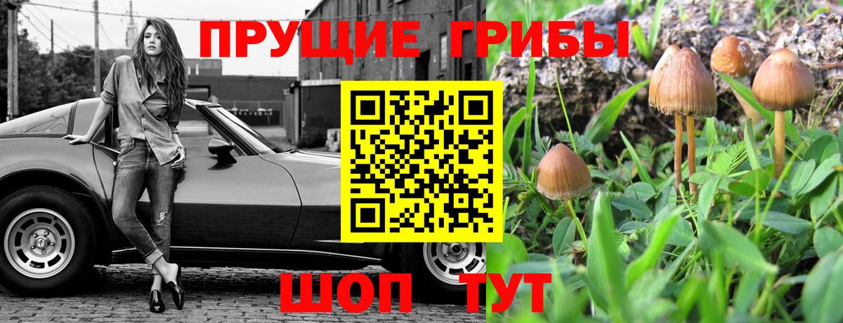 Псилоцибиновые грибы прущие грибы Менделеевск